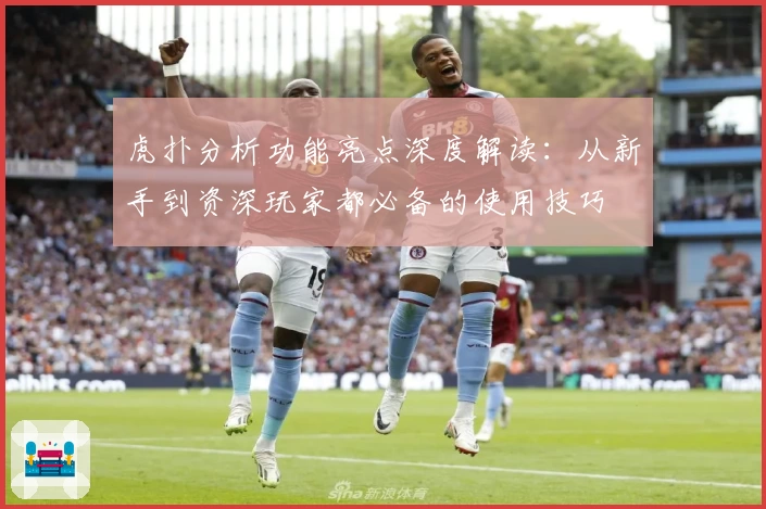 虎扑分析功能亮点深度解读：从新手到资深玩家都必备的使用技巧