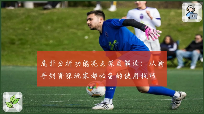 虎扑分析功能亮点深度解读：从新手到资深玩家都必备的使用技巧