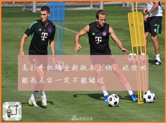 虎扑手机端全新版本上线，这些功能亮点你一定不能错过