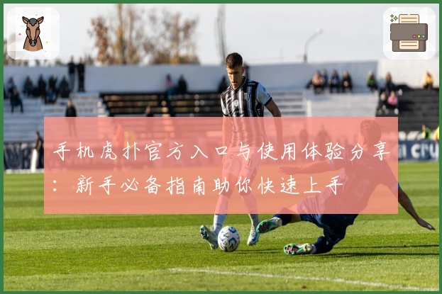 手机虎扑官方入口与使用体验分享：新手必备指南助你快速上手