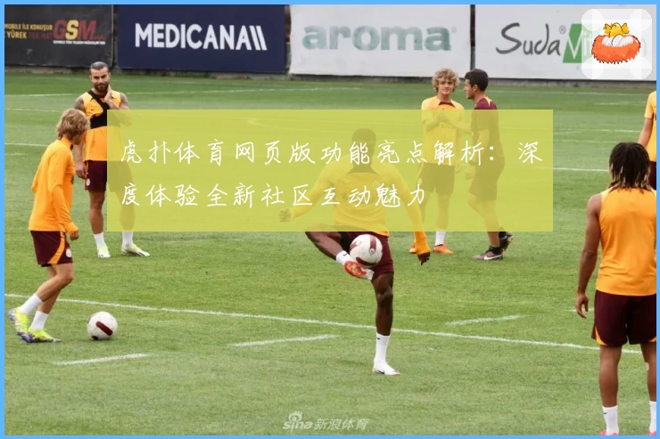 虎扑体育网页版功能亮点解析：深度体验全新社区互动魅力